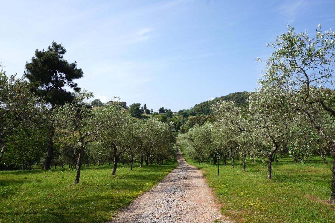 Ferienwohnung Agriturismo Le Vallilunghe Lucca Exterior foto